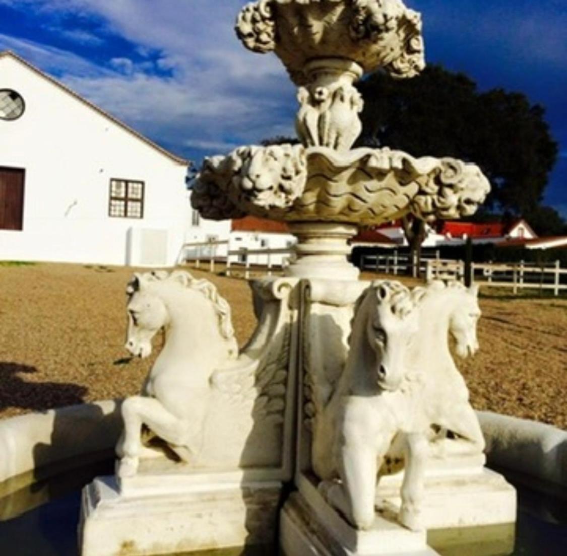 Herdade De Santa Maria Almeirim Exterior foto